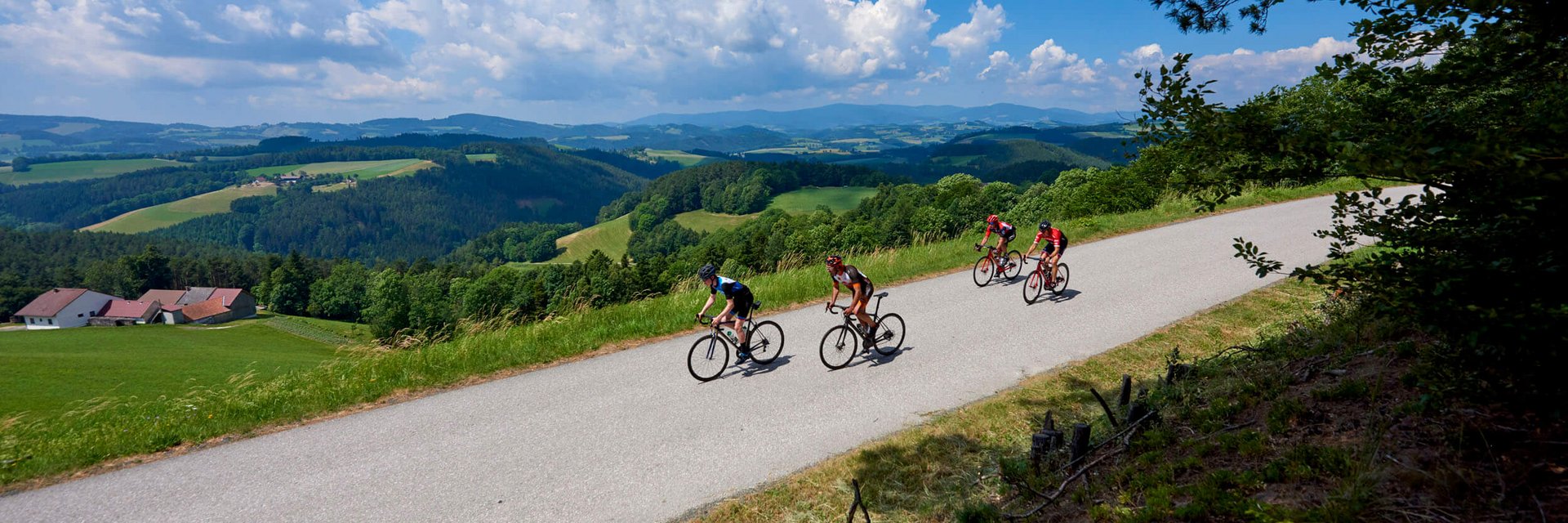 Vier Radfahrer fahren auf einer Landstraße in hügeliger Landschaft bei sonnigem Wetter