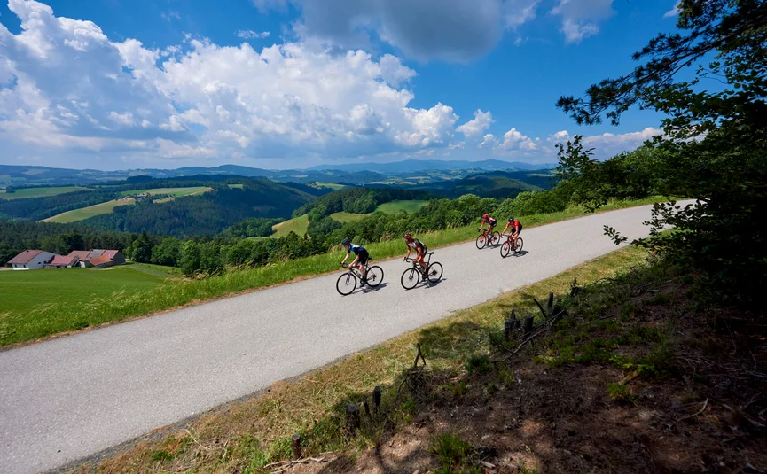 Gravel bike holiday in the Bucklige Welt © Joris Lugtigheid Four cyclists riding on a country road in a hilly landscape under sunny sky