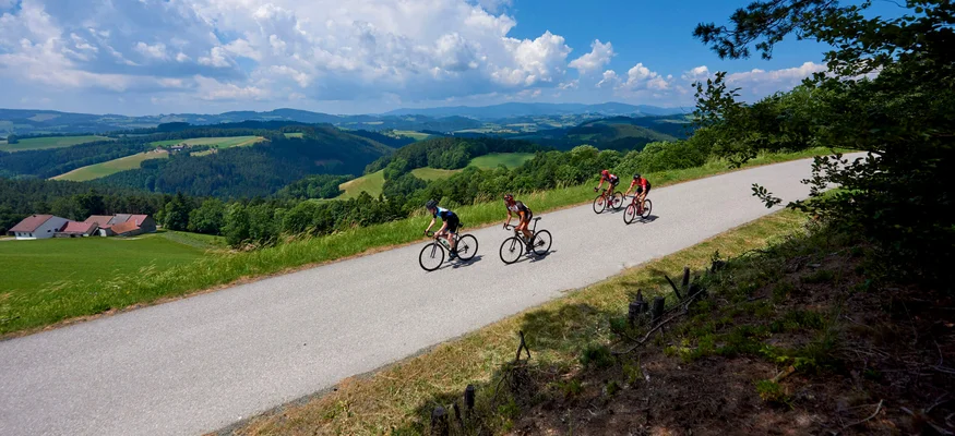 Am Krumbacherhof biked der Wirt! © Joris Lugtigheid Vier Radfahrer fahren auf einer Landstraße in hügeliger Landschaft bei sonnigem Wetter