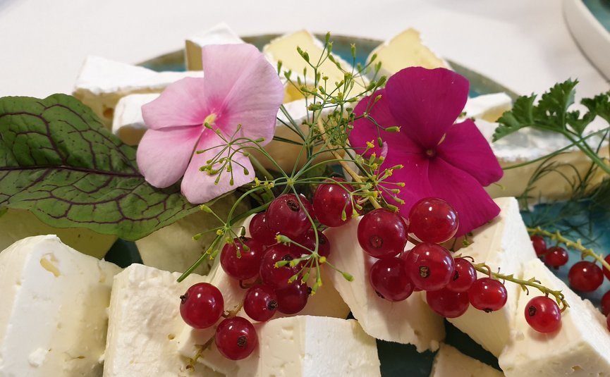 Scheiben von weißem Käse mit roten Beeren und essbaren Blumen