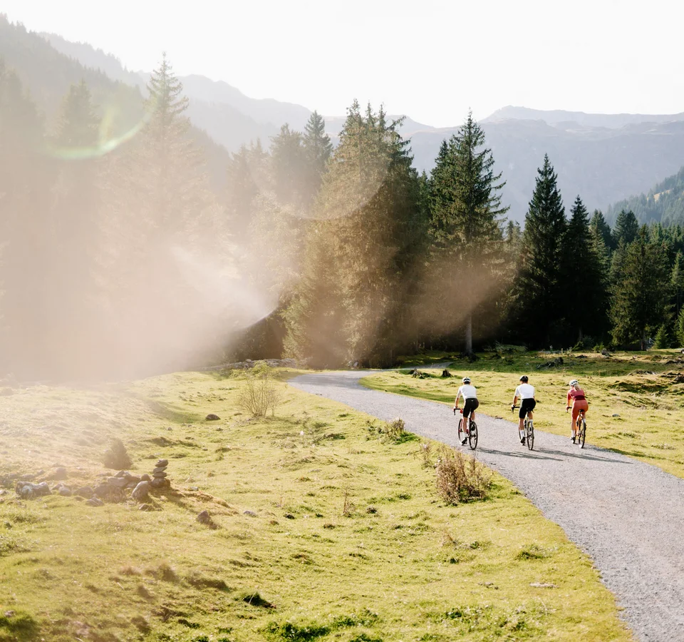 Die schönsten Graveltouren in Saalbach Hinterglemm Leogang Fieberbrunn © Saalbach.com - Moritz Ablinger Drei Radfahrer auf einem Weg in einer Berglandschaft mit Nadelbäumen