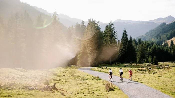 Drei Radfahrer auf einem Weg in einer Berglandschaft mit Nadelbäumen