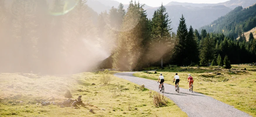 Drei Radfahrer auf einem Weg in einer Berglandschaft mit Nadelbäumen