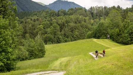 Drei Seen, eine Gravelrunde: Die 3-Seen-Tour ab Fuschl © Erwin Haiden Zwei Radfahrer auf einem Weg in grüner Hügellandschaft mit Wald und Bergen