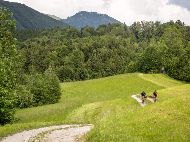 Drei Seen, eine Gravelrunde: Die 3-Seen-Tour ab Fuschl © Erwin Haiden Zwei Radfahrer auf einem Weg in grüner Hügellandschaft mit Wald und Bergen