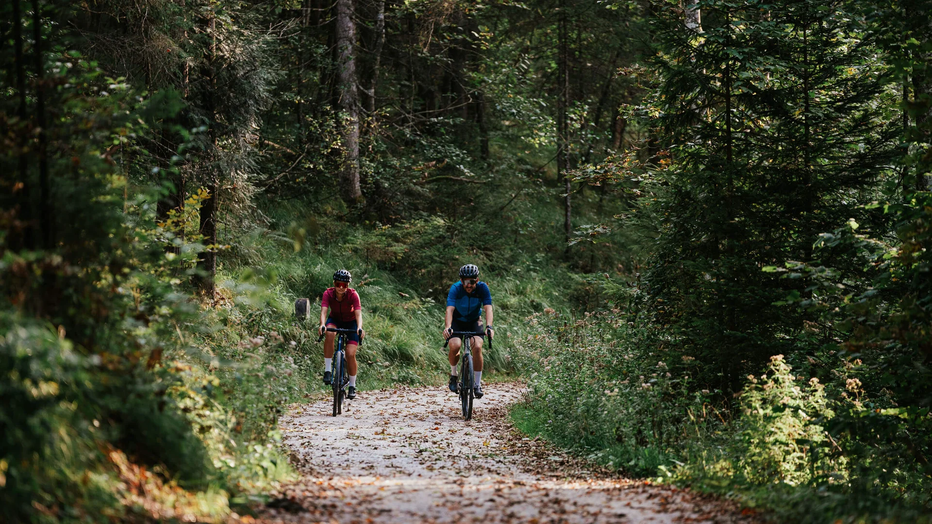 Zwei Radfahrer fahren auf einem Waldweg im Grünen