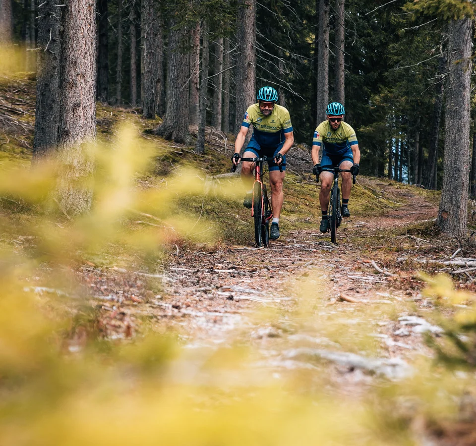 Zwei Radfahrer fahren auf einem Waldweg zwischen Bäumen