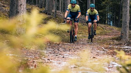 Zwei Radfahrer fahren auf einem Waldweg zwischen Bäumen