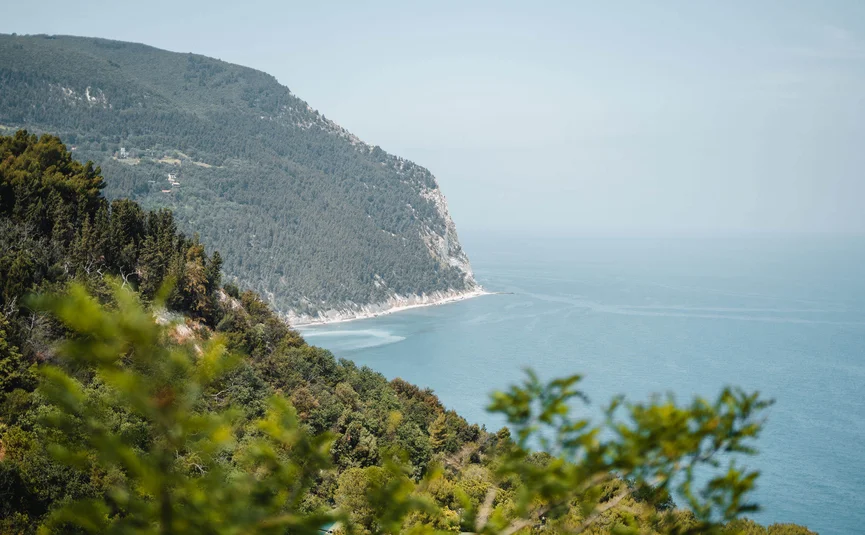 Coastline with forested hills and view of the blue sea