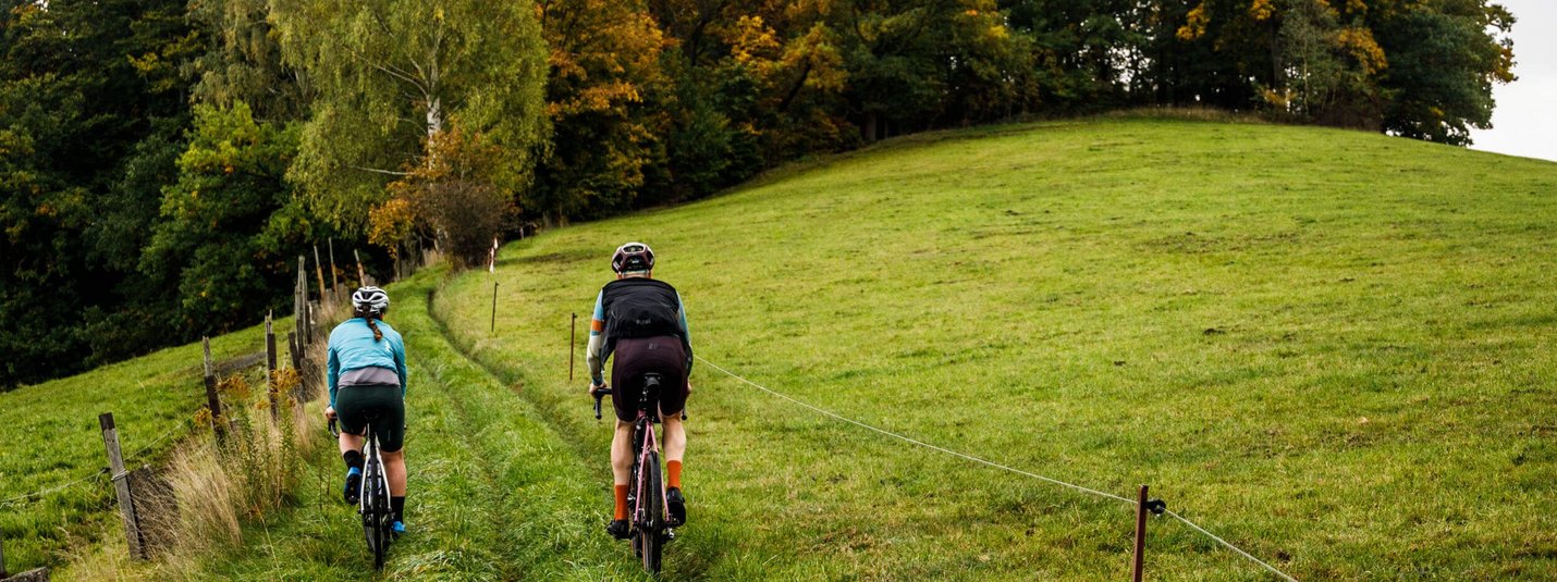 Muldentalradweg Runde von Schneeberg