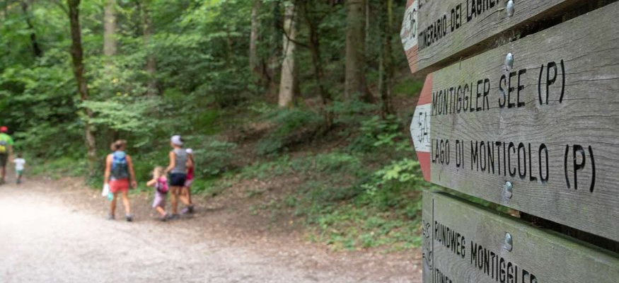 Wanderer und Radfahrer auf Waldweg mit Holzwegweiser im Vordergrund