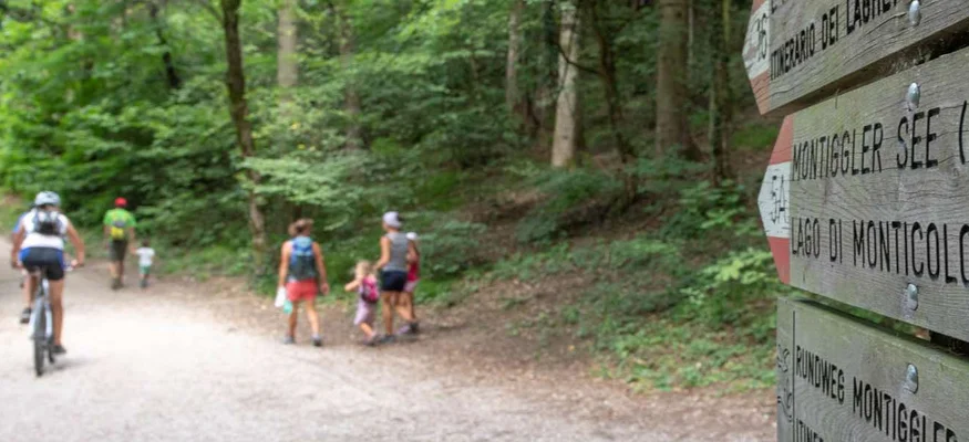 Wanderer und Radfahrer auf Waldweg mit Holzwegweiser im Vordergrund