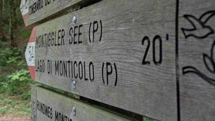 Hikers and cyclist on forest path with wooden trail sign in foreground