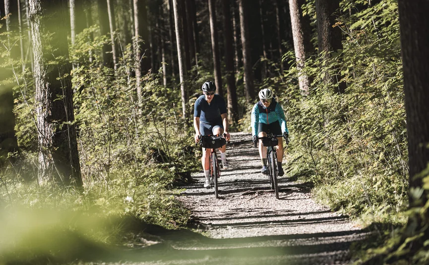 Zwei Radfahrer fahren auf einem Waldweg durch dichten grünen Wald