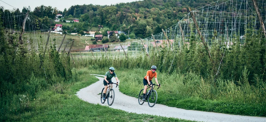 Zwei Radfahrer fahren auf einem Feldweg durch eine grüne ländliche Landschaft.