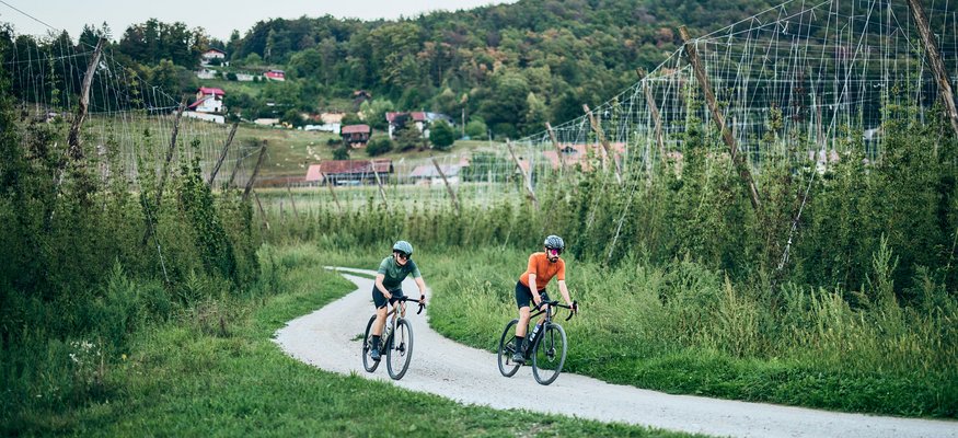 Zwei Radfahrer fahren auf einem Feldweg durch eine grüne ländliche Landschaft.