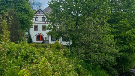 Haus hinter Bäumen an einem bewölkten Tag am Fluss