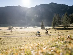 Two cyclists riding on a trail in a sunny mountain meadow