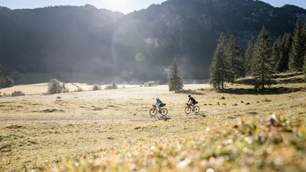Two cyclists riding on a trail in a sunny mountain meadow