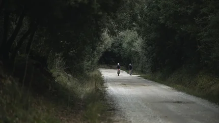 Zwei Radfahrer auf einem Waldweg umgeben von Bäumen