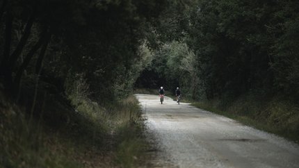 Two cyclists on a forest road surrounded by trees
