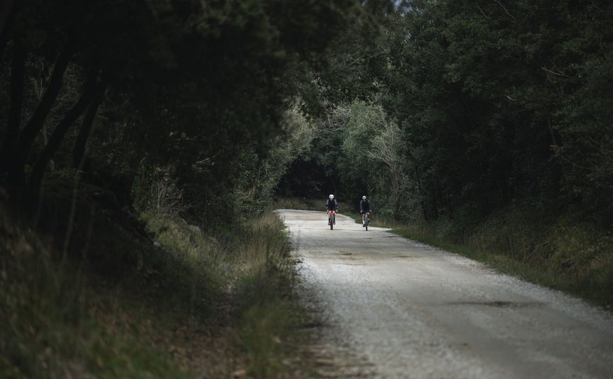Short gravel round © roofowler Two cyclists on a forest road surrounded by trees