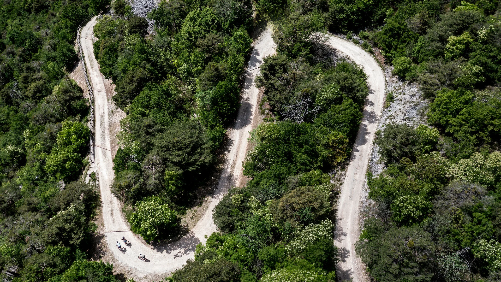 Luftaufnahme von Radfahrern auf einem kurvigen Waldweg