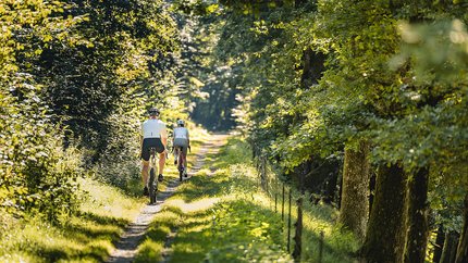 Zwei Radfahrer fahren auf einem schmalen Waldweg bei Sonnenschein