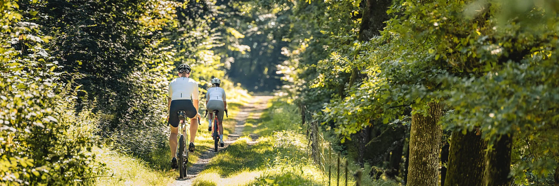 Zwei Radfahrer fahren auf einem schmalen Waldweg bei Sonnenschein