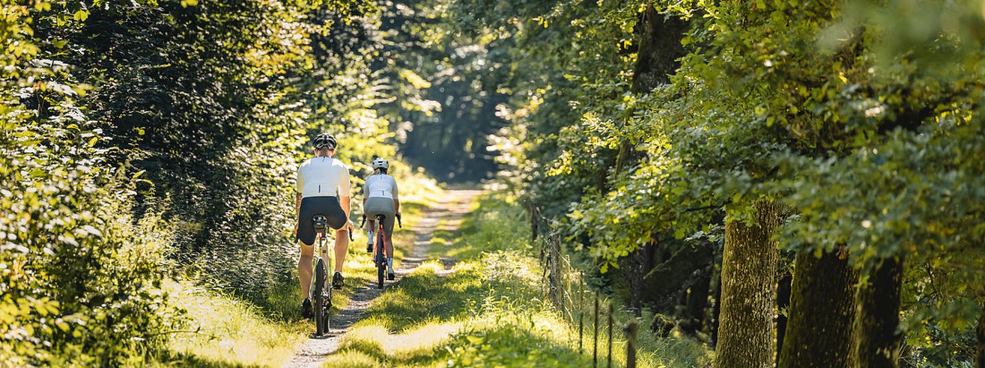 Zwei Radfahrer fahren auf einem schmalen Waldweg bei Sonnenschein