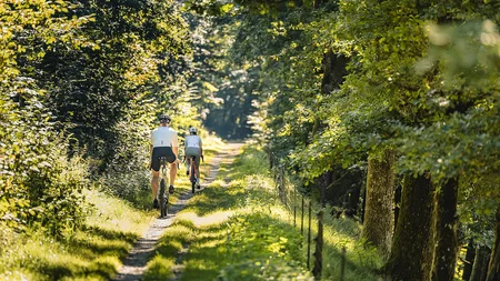Gravelbiken im Bayerischen Wald © Stefan J. Wolf Photography Zwei Radfahrer fahren auf einem schmalen Waldweg bei Sonnenschein