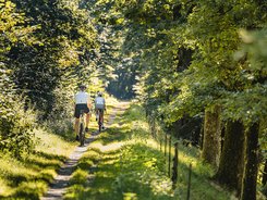 Bayerischen Wald © Stefan J. Wolf Photography Zwei Radfahrer fahren auf einem schmalen Waldweg bei Sonnenschein