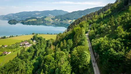 Radfahrer auf einem Waldweg mit Blick auf einen See und Berge im Hintergrund