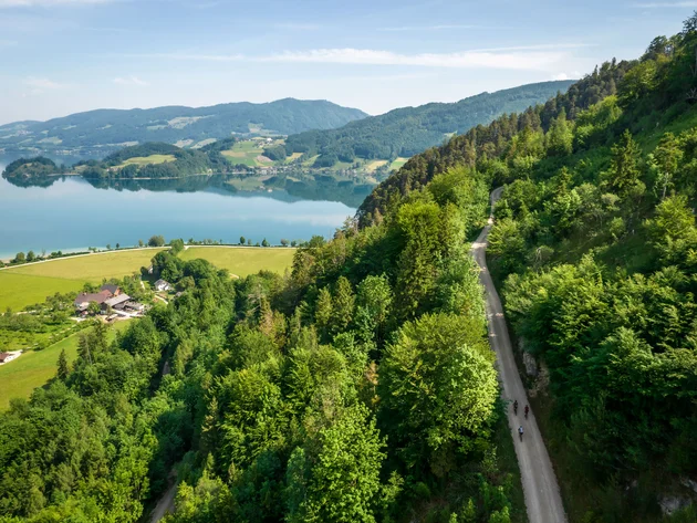 Drei Seen, eine Gravelrunde: Die 3-Seen-Tour ab Fuschl © Erwin Haiden Radfahrer auf einem Waldweg mit Blick auf einen See und Berge im Hintergrund