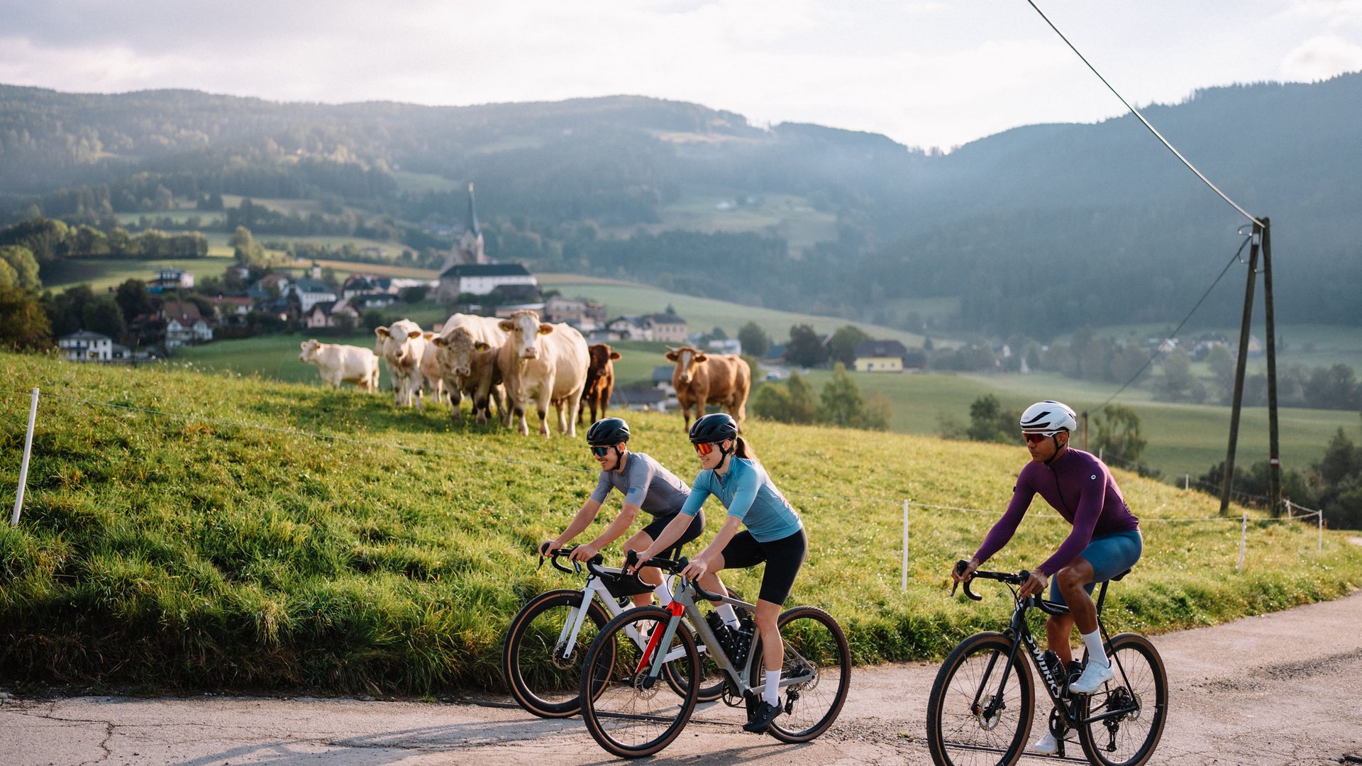 Drei Radfahrer fahren auf Landstraße mit Kühen und Dorf im Hintergrund.