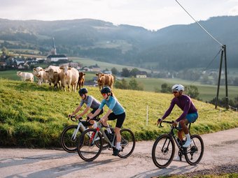 Drei Radfahrer fahren auf Landstraße mit Kühen und Dorf im Hintergrund.