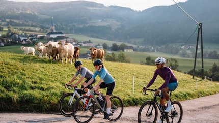 Drei Radfahrer fahren auf Landstraße mit Kühen und Dorf im Hintergrund.