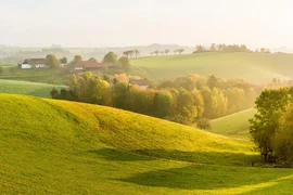 Gravel bike holiday in the Bucklige Welt © Wiener Alpen - Zwickl Gentle green hills with trees and farmhouses in morning mist