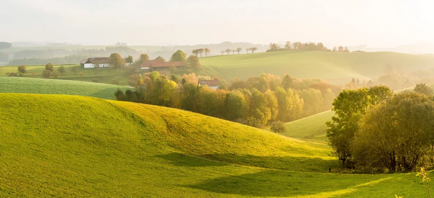 Bucklige Welt © Wiener Alpen - Zwickl Gentle green hills with trees and farmhouses in morning mist