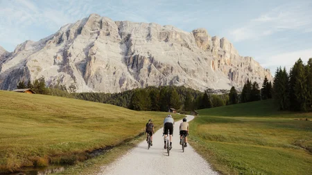 Three cyclists on a path with mountain and meadow landscape