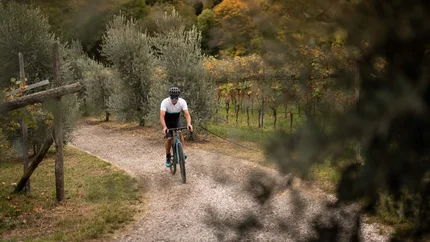 Man cycling on a forest path surrounded by trees and vineyards in autumn