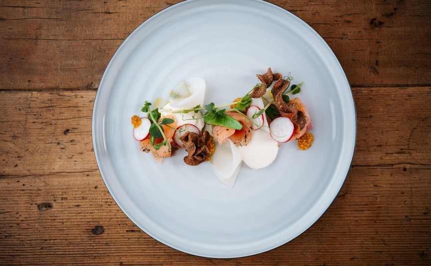 Gourmet dish with salmon, radishes, and herbs on white plate