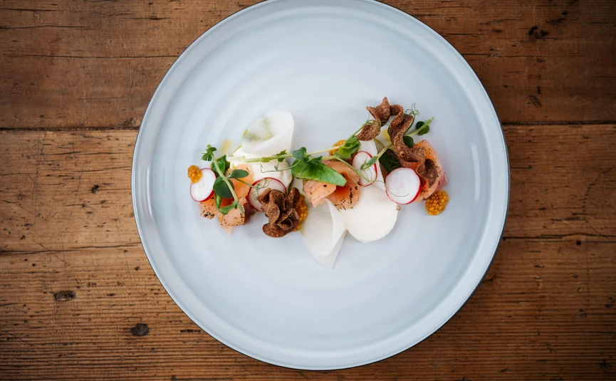 Gourmet dish with salmon, radishes, and herbs on white plate