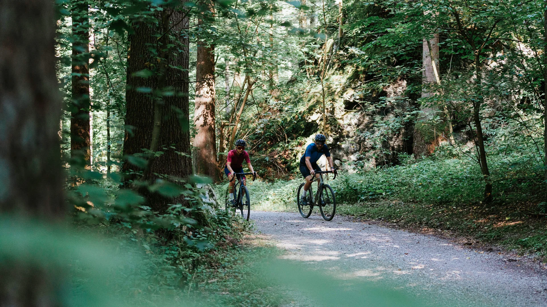 Zwei Radfahrer fahren auf einem Waldweg bei Sonnenschein