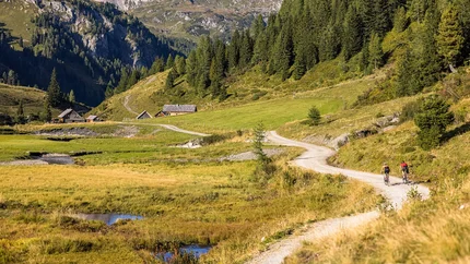 Two cyclists on a mountain path with Alps, meadows, and pine trees