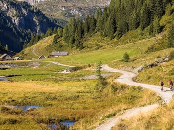 Two cyclists on a mountain path with Alps, meadows, and pine trees
