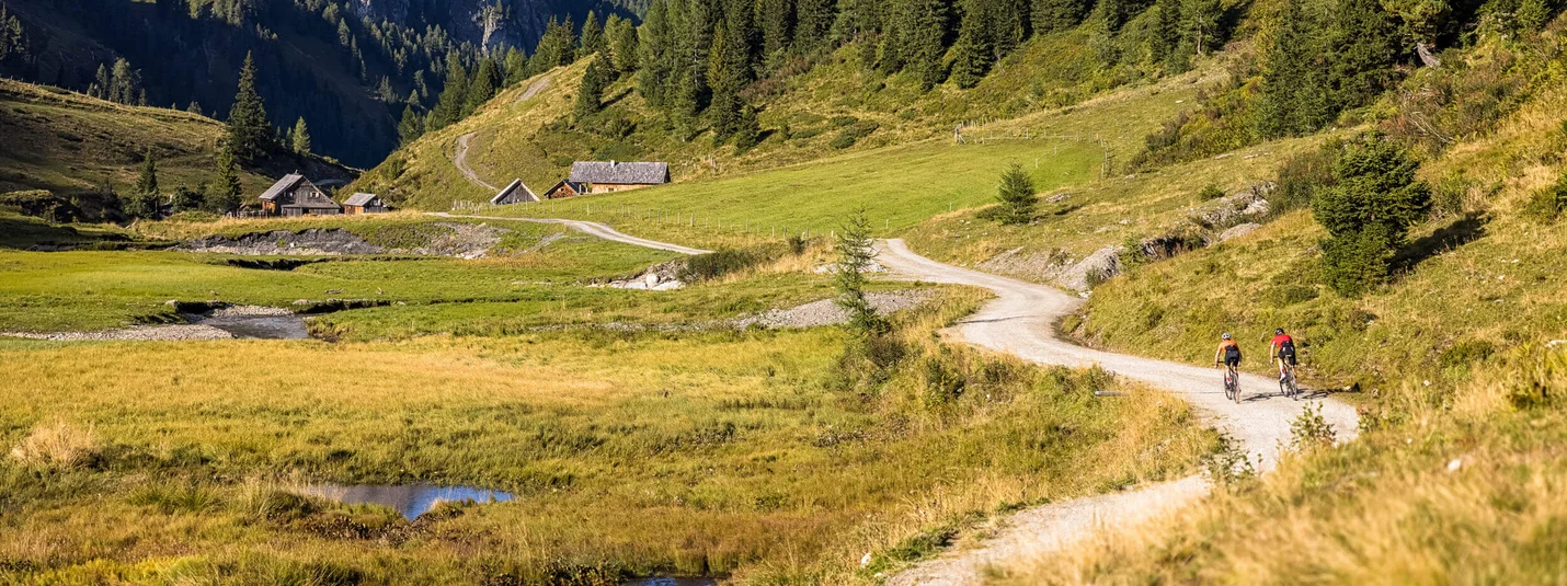Marbachalm © Salzburger Land Tourismus Zwei Radfahrer auf Bergweg mit Alpen, Wiesen und Tannen im Hintergrund