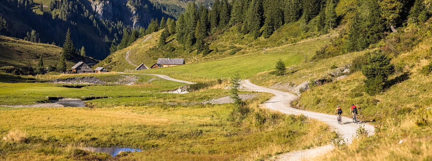 Gravelbike Urlaub in der Salzburger Sportwelt © Salzburger Land Tourismus Zwei Radfahrer auf Bergweg mit Alpen, Wiesen und Tannen im Hintergrund