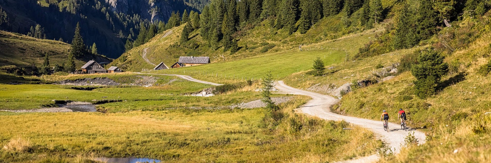 Two cyclists on a mountain path with Alps, meadows, and pine trees