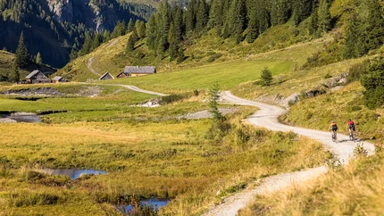 Zwei Radfahrer auf Bergweg mit Alpen, Wiesen und Tannen im Hintergrund
